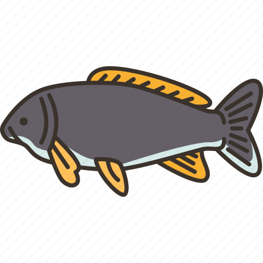 Carp, fish, decorative, aquatic, animal icon - Download on Iconfinder