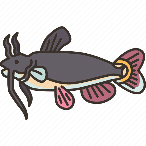 Catfish, fish, freshwater, food, animal icon - Download on Iconfinder
