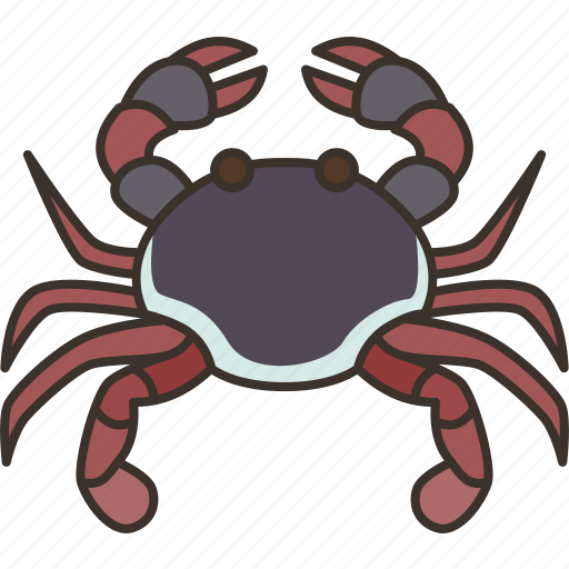 Crab, crustacean, aquatic, seafood, invertebrate icon - Download on Iconfinder
