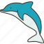 dolphin, marine, aquatic, mammal, wildlife 