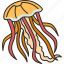 jellyfish, underwater, marine, fauna, aquatic 