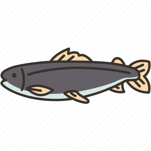 Salmon, trout, fish, seafood, freshwater icon - Download on Iconfinder