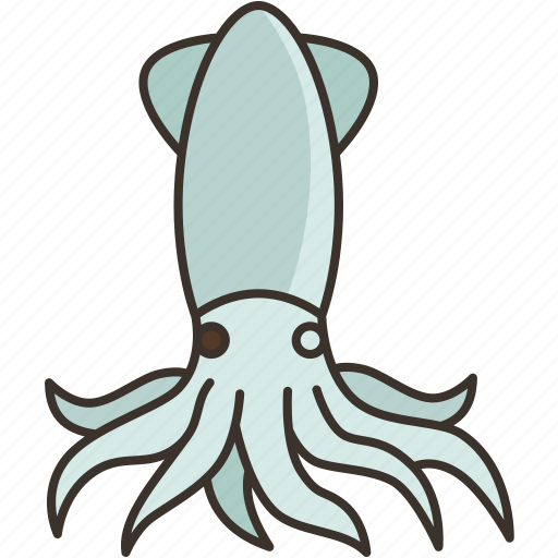 Squid, mollusk, octopus, marine, seafood icon - Download on Iconfinder