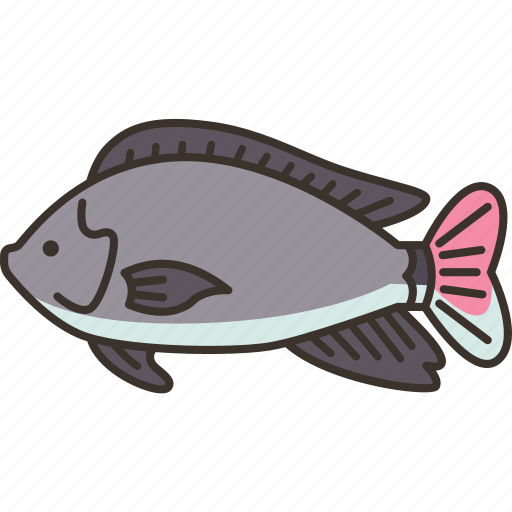 Tilapia, fish, freshwater, ingredient, food icon - Download on Iconfinder