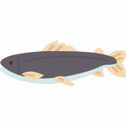 Salmon, trout, fish, seafood, freshwater icon - Download on Iconfinder