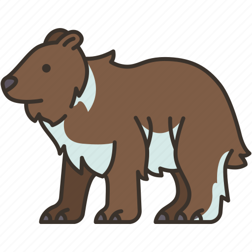 Bear, grizzly, wildlife, mammal, animal icon - Download on Iconfinder