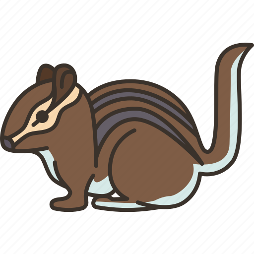 Chipmunk, squirrel, rodent, cute, animal icon - Download on Iconfinder