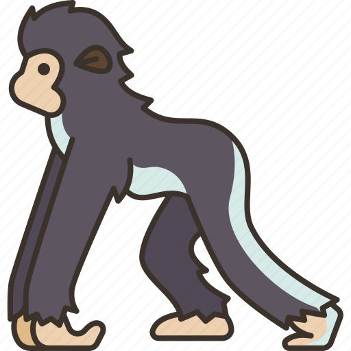 Gibbon, primate, monkey, mammal, wildlife icon - Download on Iconfinder