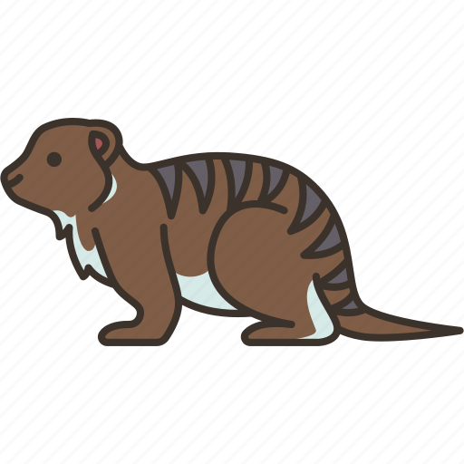 Mongoose, wildlife, mammal, carnivore, animal icon - Download on Iconfinder
