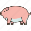 pig, livestock, domestic, husbandry, pork 