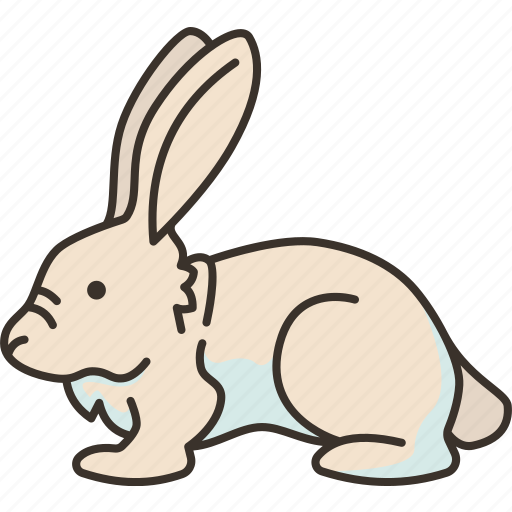 Rabbit, bunny, pet, easter, rodent icon - Download on Iconfinder