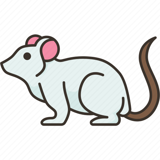 Rat, mouse, rodent, mammal, domestic icon - Download on Iconfinder