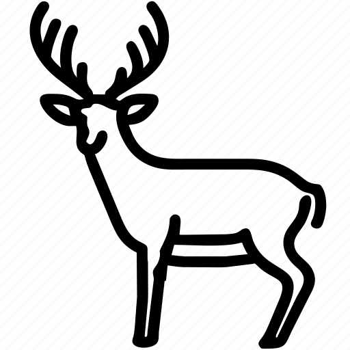 Deer, animal, antler, reindeer, stag icon - Download on Iconfinder