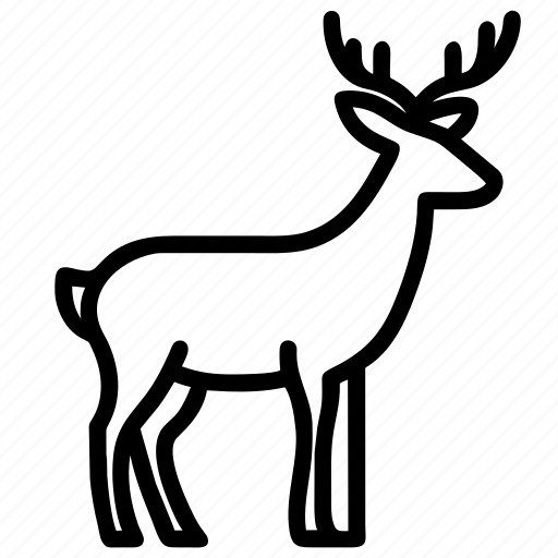 Deer, animal, antler, reindeer, stag icon - Download on Iconfinder
