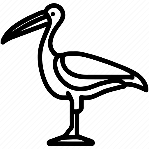 Pelican, bird, animal, seabird icon - Download on Iconfinder