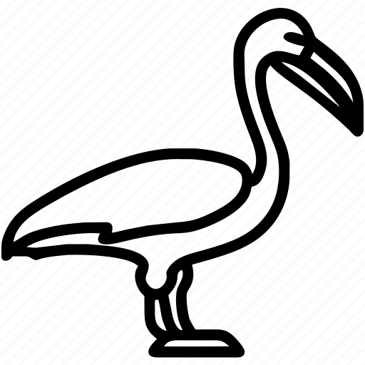 Pelican, bird, animal, seabird icon - Download on Iconfinder