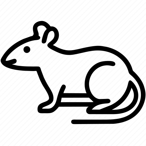 Rat, animal, pet, mouse, rodent, pest icon - Download on Iconfinder