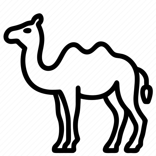 Camel, tier, wüste, ägypten icon - Download on Iconfinder