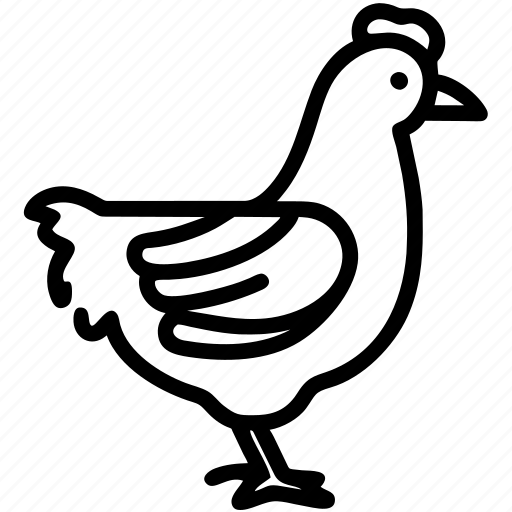 Chicken, henne, ei, bauernhof, vogel icon - Download on Iconfinder