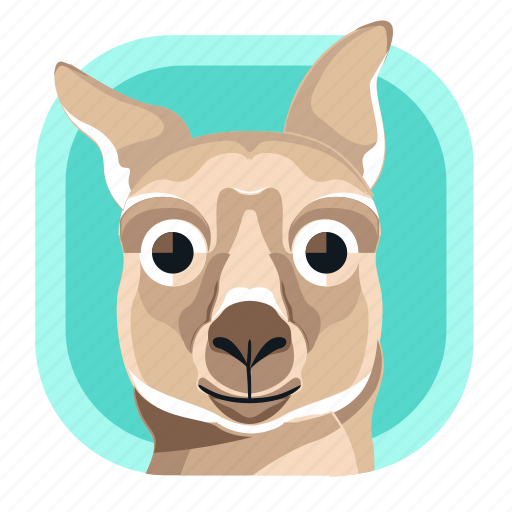 Animal, australia, kangaroo, mammals, wildlife, zoo icon - Download on Iconfinder