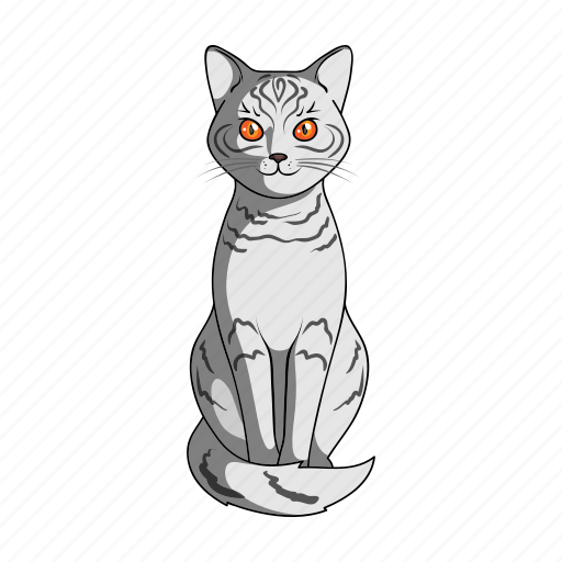 Animal, cat, mammal, pet, zoo icon - Download on Iconfinder