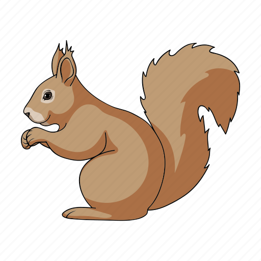 Animal, mammal, rodent, squirrel, wild, zoo icon - Download on Iconfinder