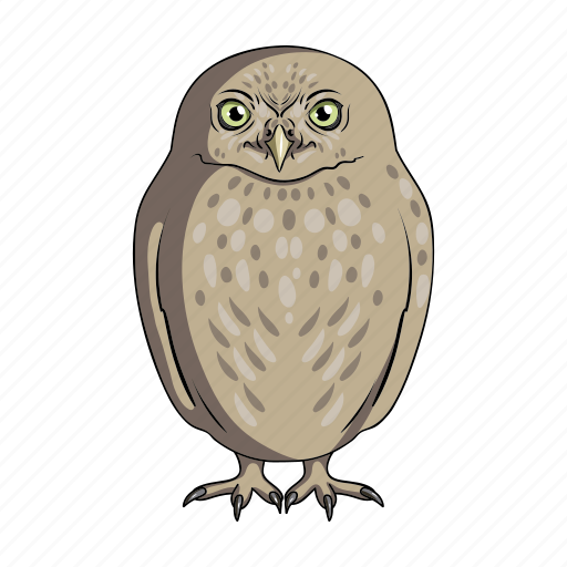 Animal, bird, night, owl, predator, wild, zoo icon - Download on Iconfinder