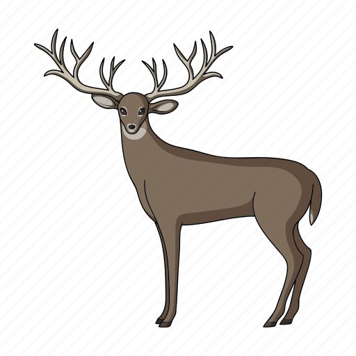 Animal, deer, herbivore, mammal, ungulate, wild, zoo icon - Download on Iconfinder