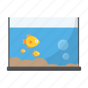 aquarium, fish, pond, water