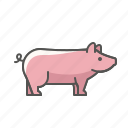 animal, farm, pig