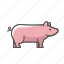 animal, farm, pig 
