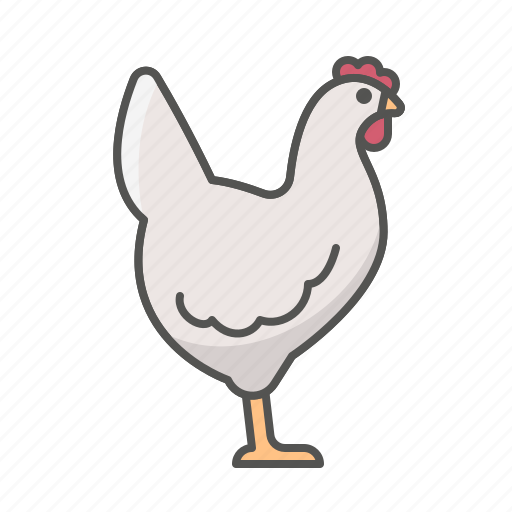 Animal, chicken, poultry icon - Download on Iconfinder