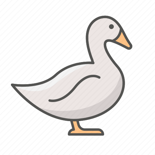 Animal, duck, poultry icon - Download on Iconfinder