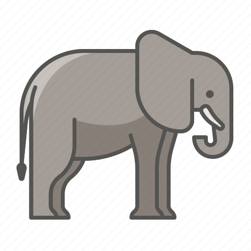Animal, elephant, wild icon - Download on Iconfinder
