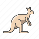 animal, kangaroo, wild