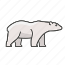 animal, bear, polar, wild
