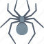 spider, animal, bug, insect, nature, pet 