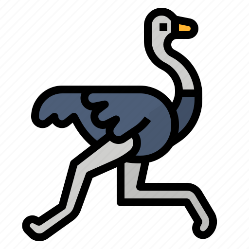 African, animals, birds, ostrich icon - Download on Iconfinder
