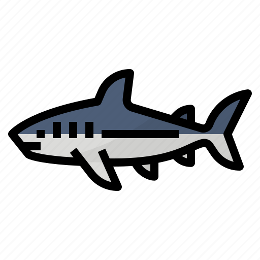 Animals, aquatic, ocean, shark icon - Download on Iconfinder
