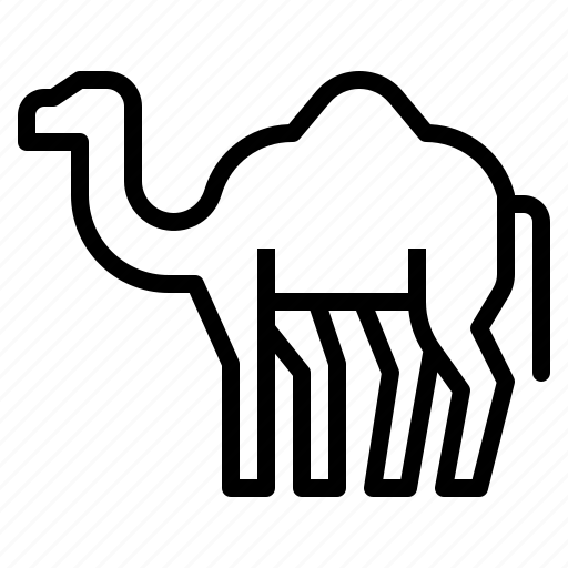 Animals, camel, wild, zoo icon - Download on Iconfinder