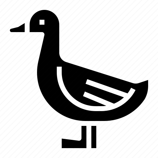 Animals, aquatic, birds, duck icon - Download on Iconfinder