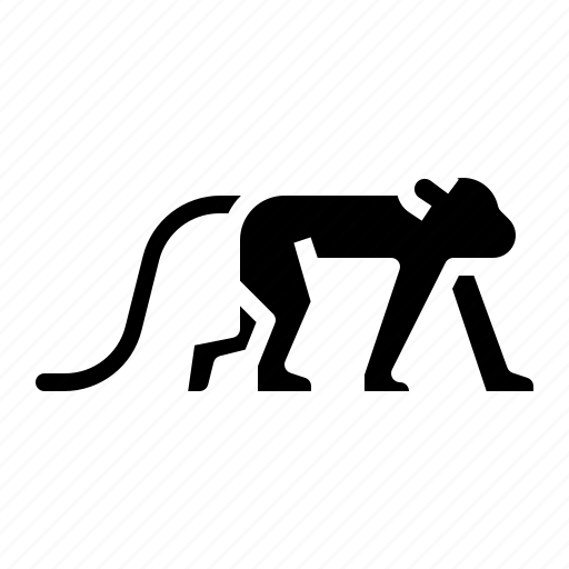 Animals, monkey, wild, wildlife icon - Download on Iconfinder