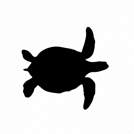 Turtle, animals, mammal, pets, wildlife, zoo, nature icon - Download on Iconfinder