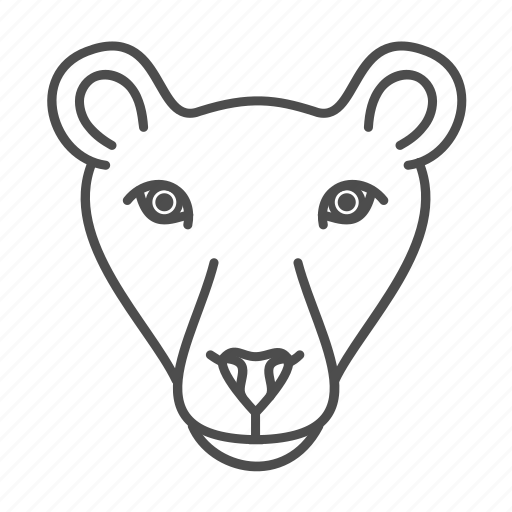 Animal, animals, face, jungle, pride, wild icon - Download on Iconfinder