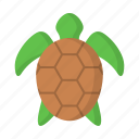 turtle, animal, ocean, sea, zoo