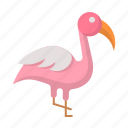flamingo, bird, animal, zoo, nature