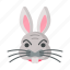 rabbit, animal, bunny, face, cute 