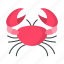 crab, animal, ocean, sea 