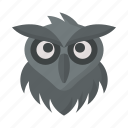 owl, bird, animal, face, zoo