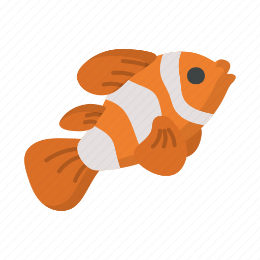 Clown fish, fish, animal icon - Download on Iconfinder